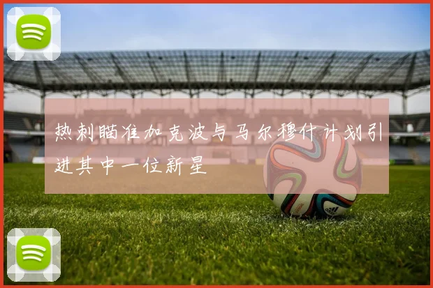 热刺瞄准加克波与马尔穆什计划引进其中一位新星