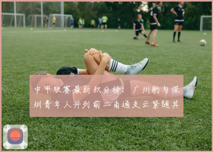 中甲联赛最新积分榜：广州豹与深圳青年人并列前二南通支云紧随其后