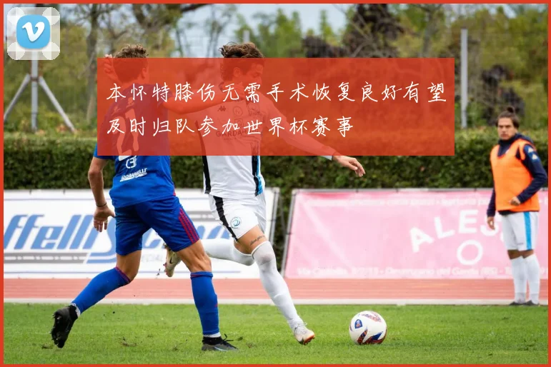 本怀特膝伤无需手术恢复良好有望及时归队参加世界杯赛事
